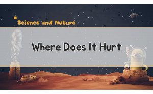 Where Does It Hurt?