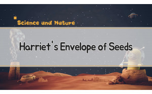 Harriet's Envelope of Seeds