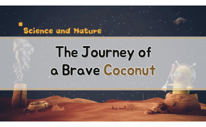 The Journey of a Brave Coconut