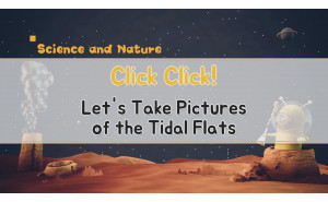 Click! Click! Let's Take Pictures of the Tidal Flats