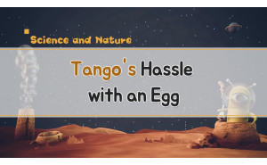 Tango's Hassle with an Egg