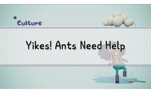 Yikes! Ants Need Help