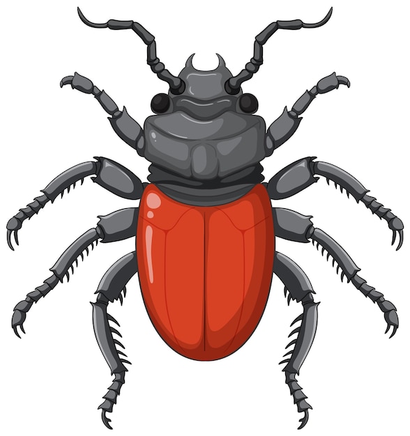 scarab-beetle-vector-isolated-white-background_1308-146746.jpg