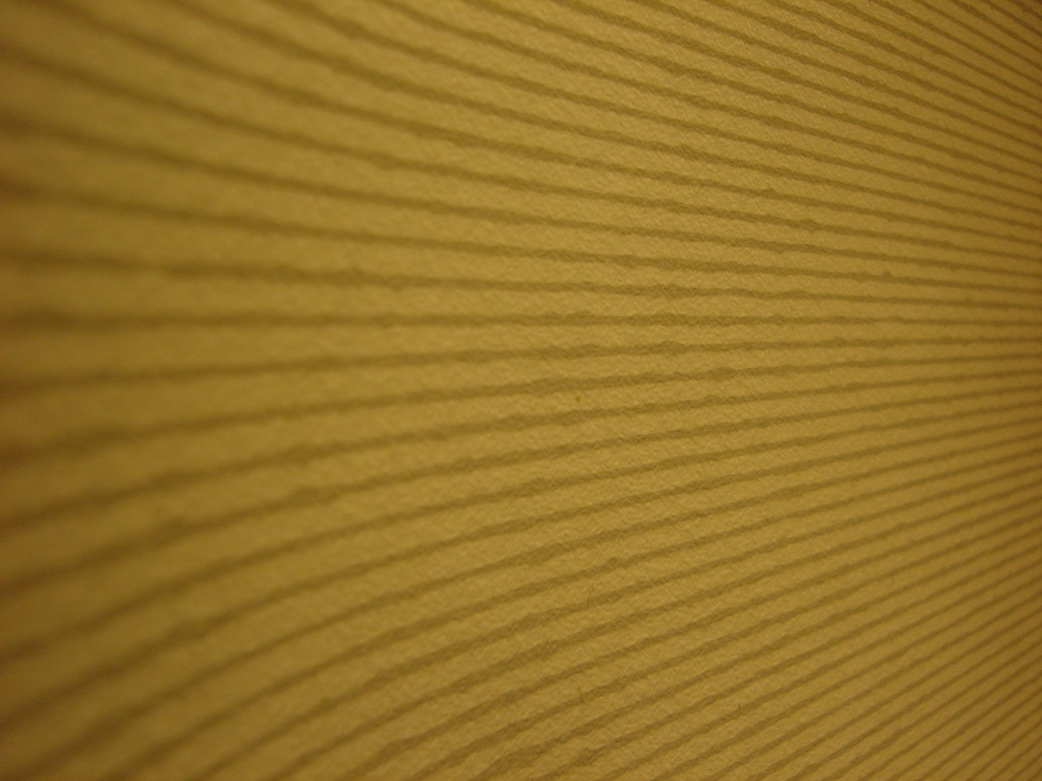 image.php?image=b17poows108.jpg&dl=1