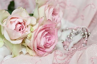 roses-jewellery-bracelet-background-playful-romantic-invitation-decoration-floral-decorations-thumbnail.jpg